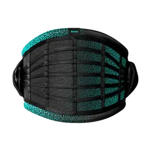 Roam V1 Harness - undefined